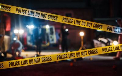 Violence Has Been Normalized | zh