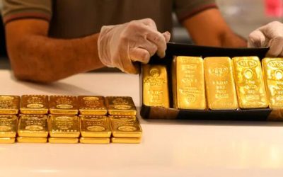 From Grey-List To Gold-Standard | zh