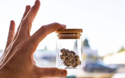 Largest California Cannabis Delivery Company Shutting Down