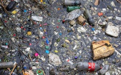 CDC Begins Assessment Of Border Pollution In San Diego County