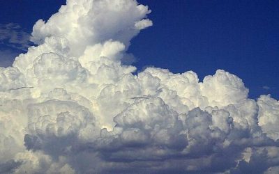 Nonprofits Influence Climate Litigation Against Major Energy Companies