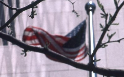 Phony Partisan “Charities” Overplayed Their Hand In 2024