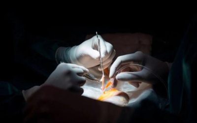 Taiwan Indicts Surgeon Who Sent Patients To China for Organ Transplants