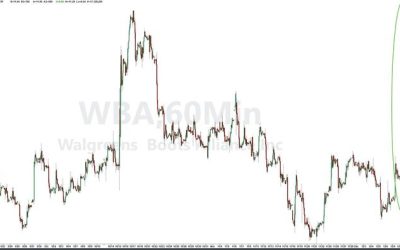 Walgreens Shares Spike Off 28-Year Lows On Private-Equity Interest; Report