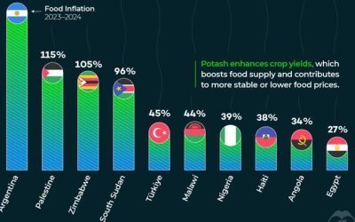 These Are The Countries With The Highest Food Inflation In 2024