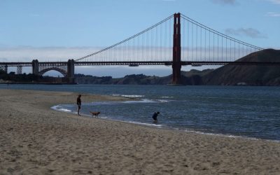 Tsunami Warning Called Off Following 7.0 Magnitude Earthquake oan