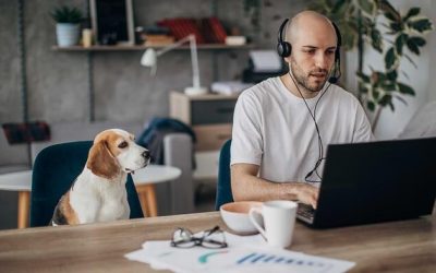 Trump To End ‘Work From Home’ For Federal Employees As Corporate America Takes Action