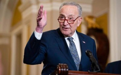 Schumer Urges Feds To Deploy Declassified Technology That Can Identify Drones