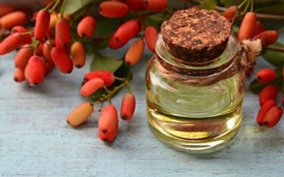 Berberine: One Of The Most Powerful Tools We Have To Regulate Insulin