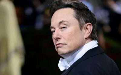 In Latest Threat To German Democracy, Dangerous Fascist Elon Musk Tweets Six Words About AfD