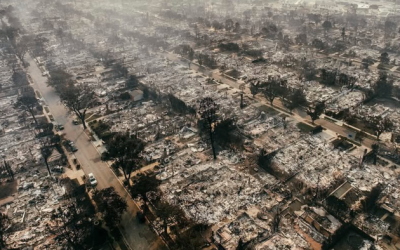 Inferno Chaos: LA Fire Spreads To Hollywood Hills, 5,000 Buildings Destroyed, Over 180,000 Evacuated