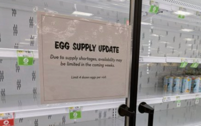 Egg Prices Catapult Into ‘Blue-Sky Breakout’ As Bird Flu Sparks Worsening Shortage