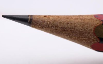 On The March, School Choice Takes Its Fight From Red, Right To Blue