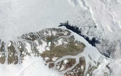 Crazy Like A Fox: Trump’s Greenland Pitch