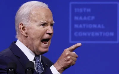 Biden Claiming He Could Have Beaten Trump Is ‘Flat Out Bonkers’ oan