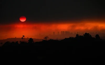 LAFD Diversity Chief Blames Fire Victims Needing Rescue In Viral Clip oan
