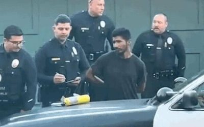 Arson Eyed In LA’s Kenneth Fire – Suspect Gang-Tackled By Residents