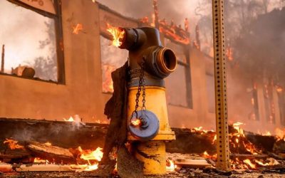 MSNBC Attacks Trump And Musk For Telling The Truth About Suspicious LA Fires