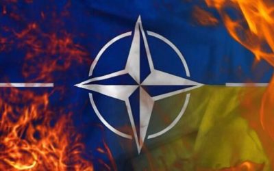 The Competency Crisis Proliferating The West