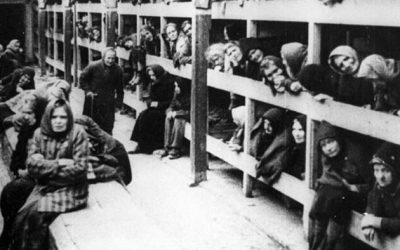 How Widespread Is Holocaust Denialism?