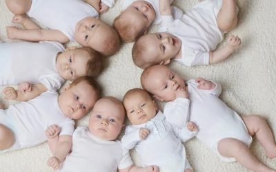 Why Are Fertility Rates Not Rising?