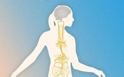 Better Than Ozempic? How To Engage The Vagus Nerve For Weight Loss