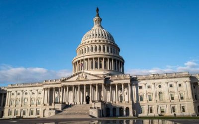 Meet The New Senators Entering Congress