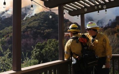 Zelensky Offers To Send 150 Ukrainian Firefighters To California After Stinging Rebuke From Trump Jr