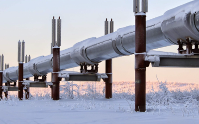 Incoming Polar Blast Sends EU NatGas To Two-Year High As Stockpiles Dwindle