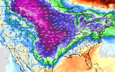 Roses Are Red, Violets Are Blue, & Polar Vortex Is Coming For You