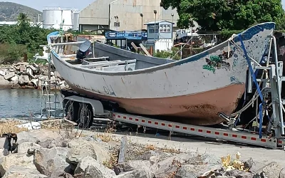 19 Decomposed Bodies Found On Vessel Near Caribbean Nation Of St. Kitts oan