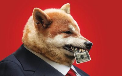 DOGE Makes Math Great Again