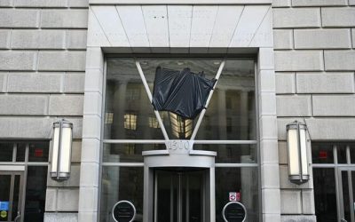 The Genius Of The DOGE Exposures