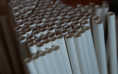 ‘Liberal Paper Straws Don’t Work’ oan