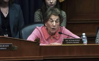 Watch: Democrat DEI Brain-Rot Is A Lot Worse Than You Think…