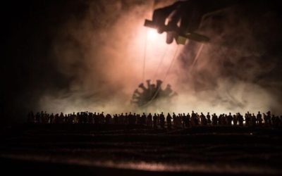 Bird Flu Is A Rerun Of The COVID Playbook