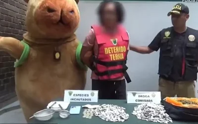 Police Officer Disguised In Capybara Costume Makes Arrest In Drug Probe  oan