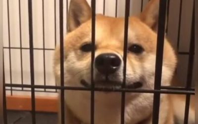 14 States Sue To Block DOGE From Uncovering Government Abuses, Slashing Waste