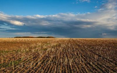 How USAID Assisted The Corporate Takeover Of Ukrainian Agriculture