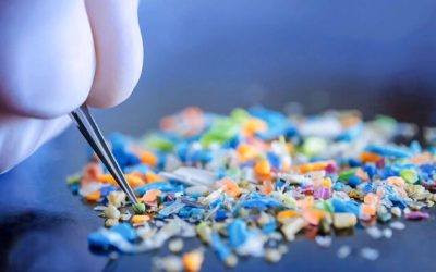 Microplastics Found In Brain Weighs As Much As A Plastic Spoon: Study