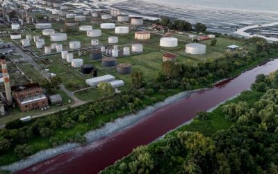 Argentinian Stream Mysteriously Turns Blood Red, Sparks Fears Of Toxic Leak