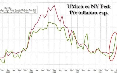 NY Fed Survey Shows 1 Year Inflation Expectations Unchanged, Makes Mockery Of UMich Propaganda