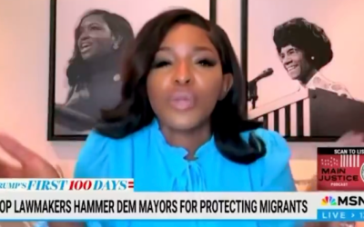 Crock Of Sh*t: Dem Rep Jasmine Crockett Says ‘Entering USA Illegally Is Not A Crime’