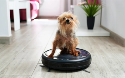 iRobot Shares Crash As Going Concern Raises “Substantial Doubt” About Ability To Operate