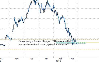 Tesla Receives First Permit For California Robotaxis; Cantor Upgrades Rating To “Overweight”  