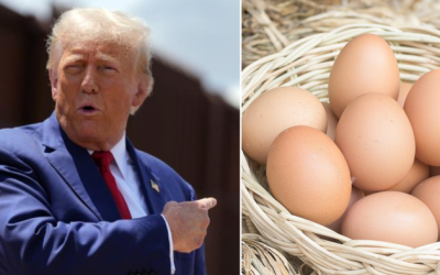 Italy “Eager” To Help Trump Solve Biden’s Egg Crisis 