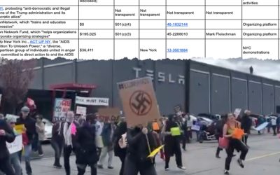 Follow The Money: Ex-WSJ Journalist Reveals 24 Organizations Funding Tesla Takedown Madness 
