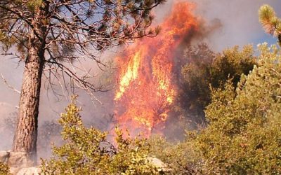 How Los Angeles Is Getting Scorched by Its Homeless Problem