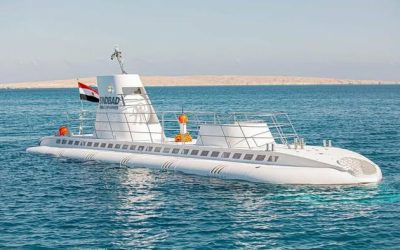 Commercial Submarine Carrying Russian Tourists Sinks Off Egyptian Coast