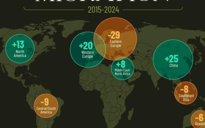 Visualizing Billionaire Migration Over The Last Decade